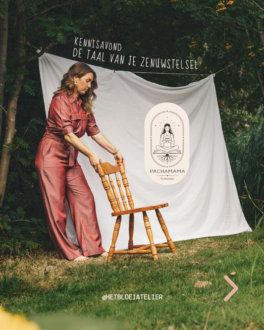 Kennis Avond: De taal van je zenuwstelsel (door Suus van Het Bloei Atelier)