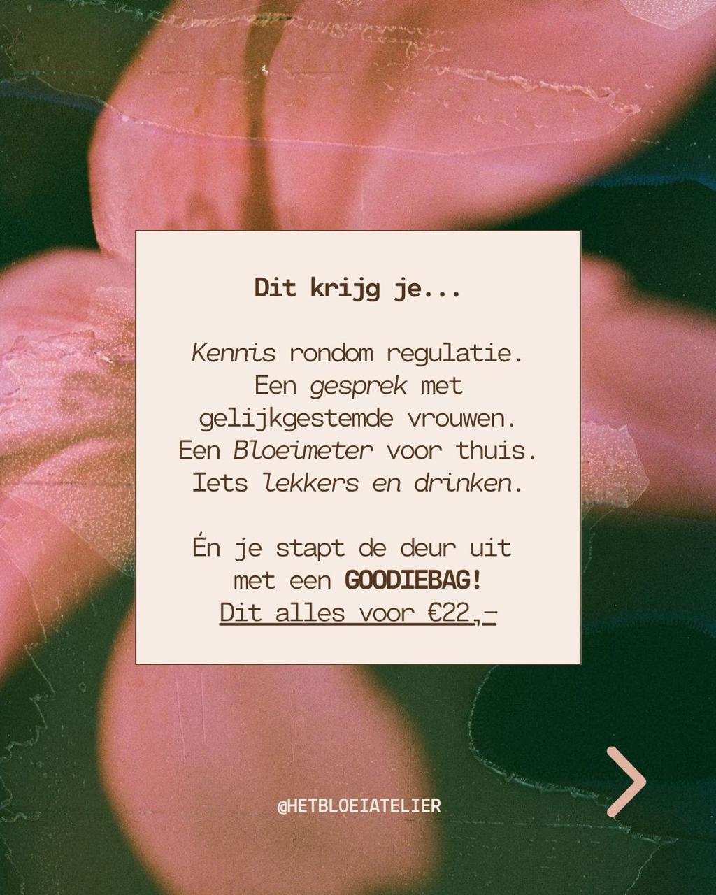 Kennis Avond: De taal van je zenuwstelsel (door Suus van Het Bloei Atelier)